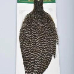 Fly Tying Whiting Wet Fly Hen Cape