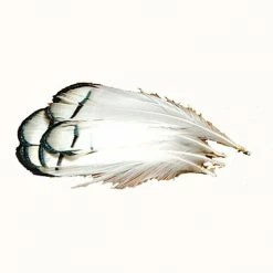 Hareline Lady Amherst Tippets