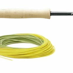 Sage Foundation Outfit