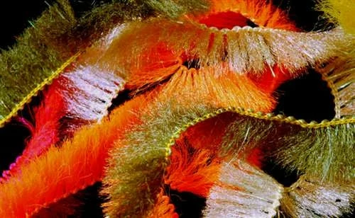 Cascade Crest CCT Body Fur 1 Cascade Crest CCT Body Fur