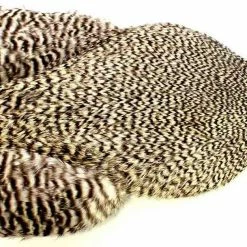 Whiting Freshwater Streamer Hen Cape Fly Tying