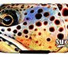 Montana Fly Company Poly Fly Box Fly Boxes