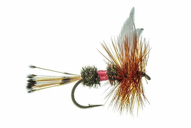 Montana Fly Company Royal Coachman Flies 1 Montana Fly Company Royal Coachman Flies