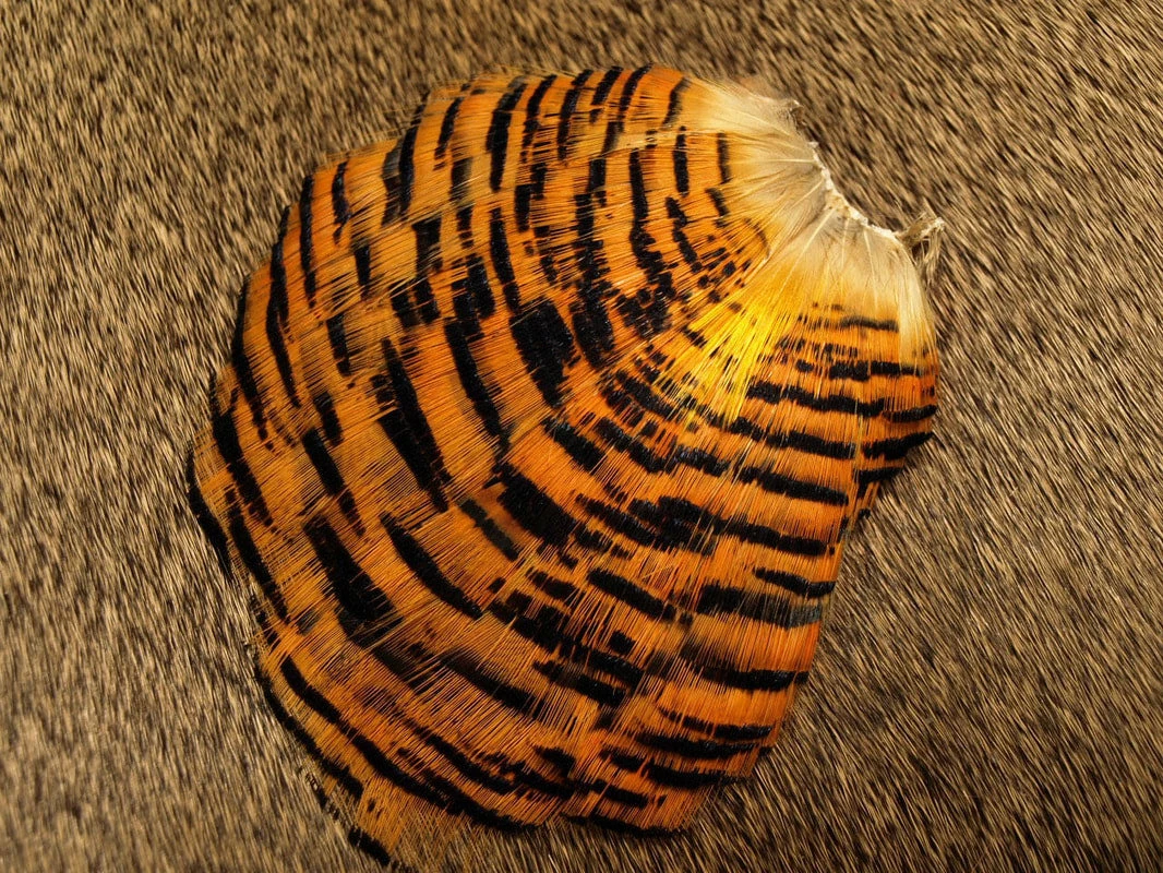 Natures Spirit Golden Pheasant Tippet Section 1 Natures Spirit Golden Pheasant Tippet Section