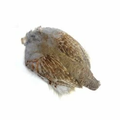 Hareline #1 Natural Hungarian Partridge Skin Fly Tying