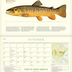 Angler's Sport Group Trout Of North America Calender 2021