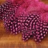 Hareline Strung Guinea Feathers