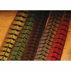 Hareline Ringneck Pheasant Tail Feathers