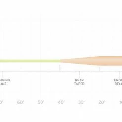Scientific Anglers Fly Line Amplitude Smooth Grand Slam