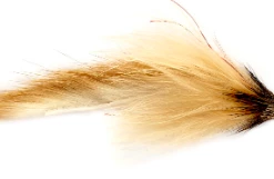 Fulling Mill Nutcracker Flies 5 Fulling Mill Nutcracker Flies