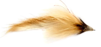 Fulling Mill Nutcracker Flies 2 Fulling Mill Nutcracker Flies