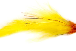 Fulling Mill Nutcracker Flies 7 Fulling Mill Nutcracker Flies