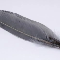 Natures Spirit Duck Quills Fly Tying