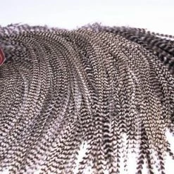 Whiting Euro Hackle - Grizzly