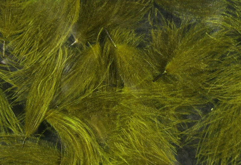 Hareline CDC Oiler Puffs 2 Hareline CDC Oiler Puffs