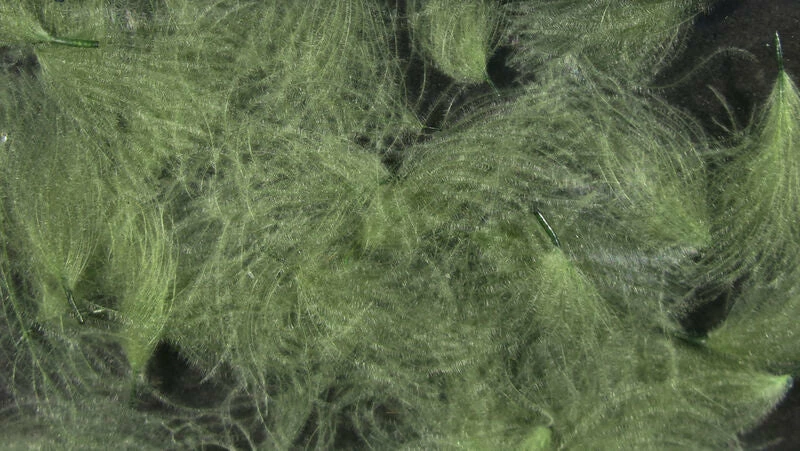 Hareline CDC Oiler Puffs 5 Hareline CDC Oiler Puffs