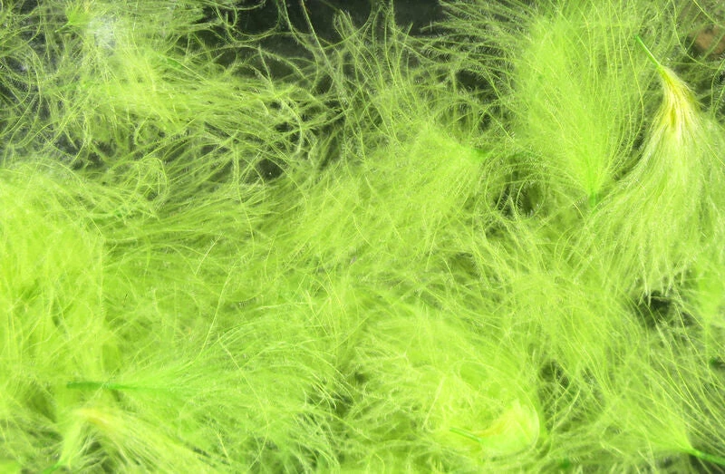 Hareline CDC Oiler Puffs 10 Hareline CDC Oiler Puffs