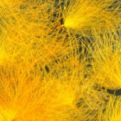 Hareline CDC Oiler Puffs 28 Hareline CDC Oiler Puffs