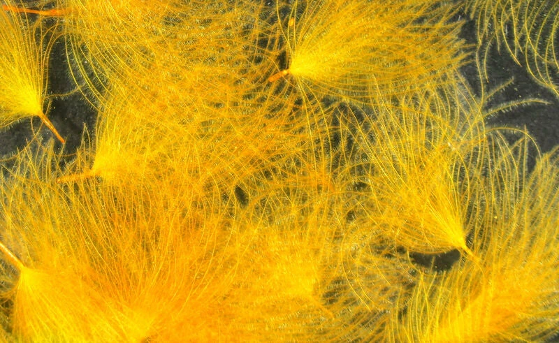 Hareline CDC Oiler Puffs 13 Hareline CDC Oiler Puffs