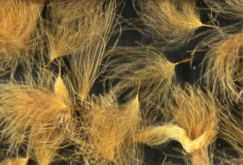 Hareline CDC Oiler Puffs 14 Hareline CDC Oiler Puffs