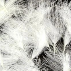 Hareline CDC Oiler Puffs 31 Hareline CDC Oiler Puffs