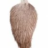Whiting Coq De Leon Rooster Cape