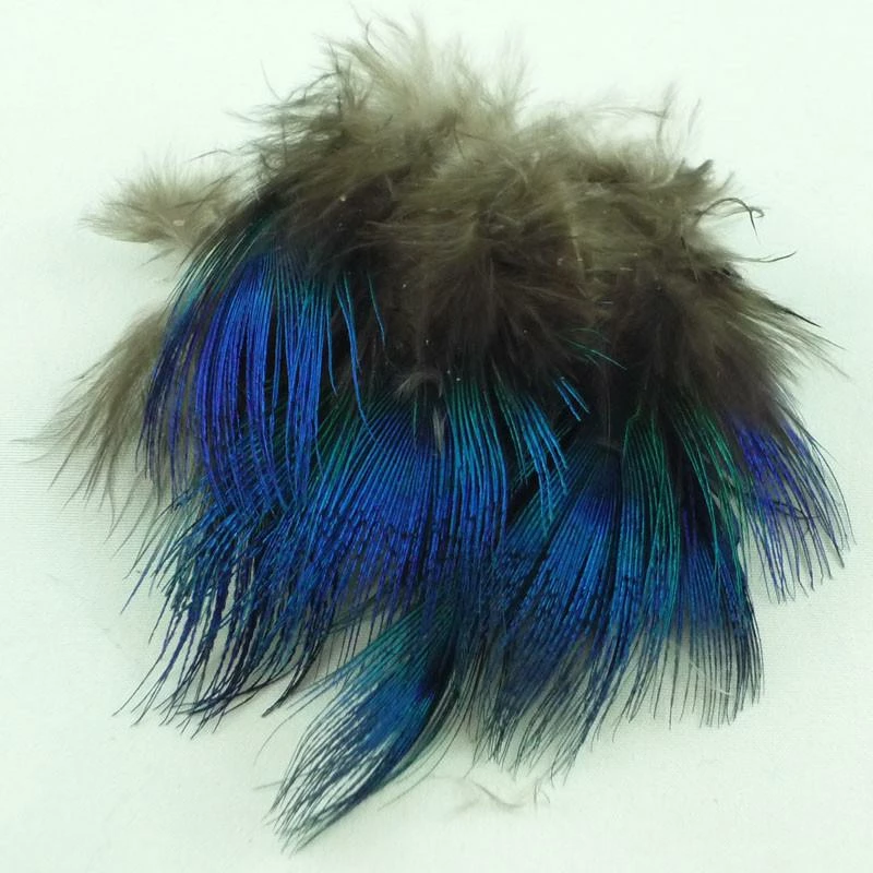 Hareline Blue Peacock Feather Fly Tying 1 Hareline Blue Peacock Feather Fly Tying