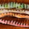 Hareline Micro Black Barred Groovy Bunny Strips Fly Tying