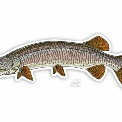 Casey Underwood Artwork Muskie Decal