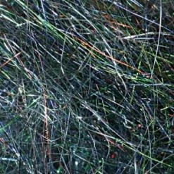 Larva Lace Fly Tying Angel Dub