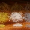 Hareline CDC Super Select 1 Gram Fly Tying