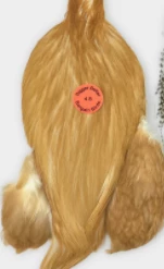 Whiting 4B's Rooster Cape