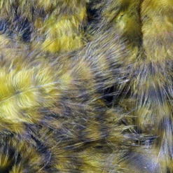 Hareline Grizzly Marabou