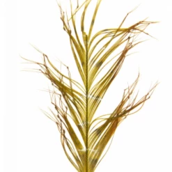 Semperfli Knotted Hopper Legs Fly Tying