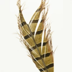 Semperfli Knotted Hopper Legs Fly Tying