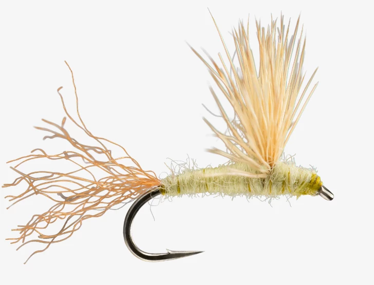 Rio Products Sparkle Dun PMD 1 Rio Products Sparkle Dun PMD