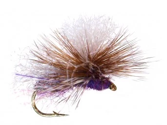 Montana Fly Company Flies Bloom's Stealth Ant 1 Montana Fly Company Flies Bloom's Stealth Ant