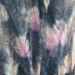 Montana Fly Company Barred Strung Ostrich Fly Tying