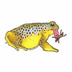 Nate Karnes Art Brown Trout Toad Decal