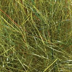 Larva Lace Fly Tying Angel Dub