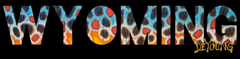 DeYoung Wyoming Brown Flank Decal Stickers 1 DeYoung Wyoming Brown Flank Decal Stickers