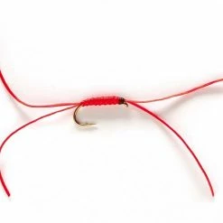 Fulling Mill App's Bloodworm