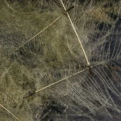 Hareline Cul De Canard Fly Tying