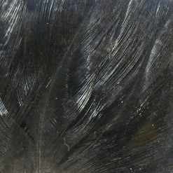 Hareline Coq De Leon Fly Tying