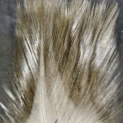 Hareline Coq De Leon Fly Tying