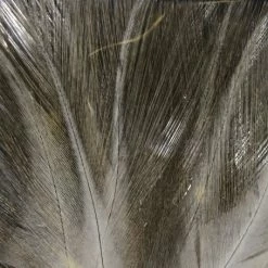 Hareline Coq De Leon Fly Tying