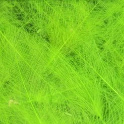 Hareline Cul De Canard Fly Tying