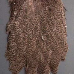 Whiting Brahma Hen Saddle Fly Tying