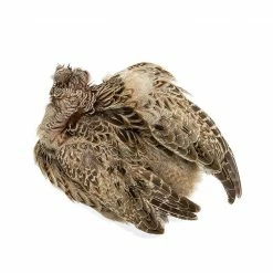 Natures Spirit Natural Hen Ringneck Pheasant Skin Fly Tying