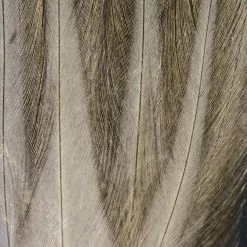 Hareline Gallo De Leon Saddle Feathers Fly Tying